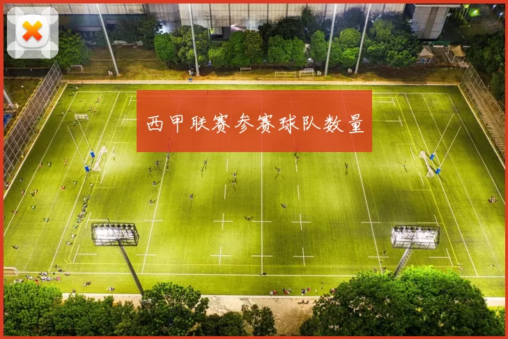 西甲联赛参赛球队数量