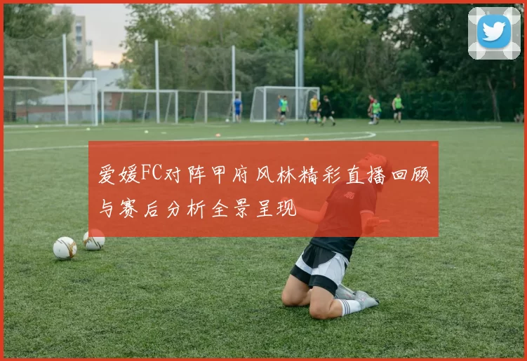 爱媛FC对阵甲府风林精彩直播回顾与赛后分析全景呈现
